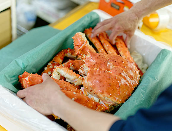 代表が直接仕入れた海産物